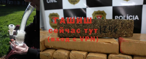 сатива Горняк