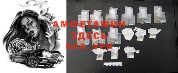 сатива Горняк