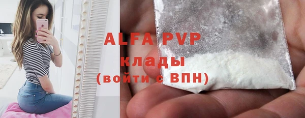 сатива Горняк