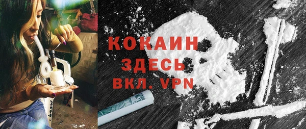 сатива Горняк