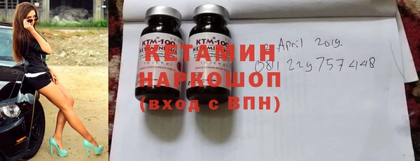 сатива Горняк