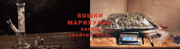 сатива Горняк