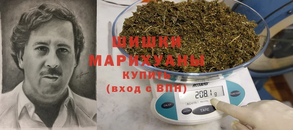 сатива Горняк