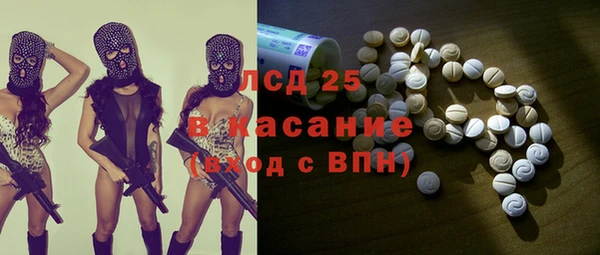сатива Горняк